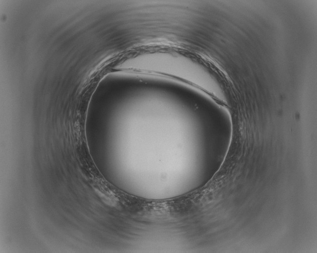 X0000068310968200604211200