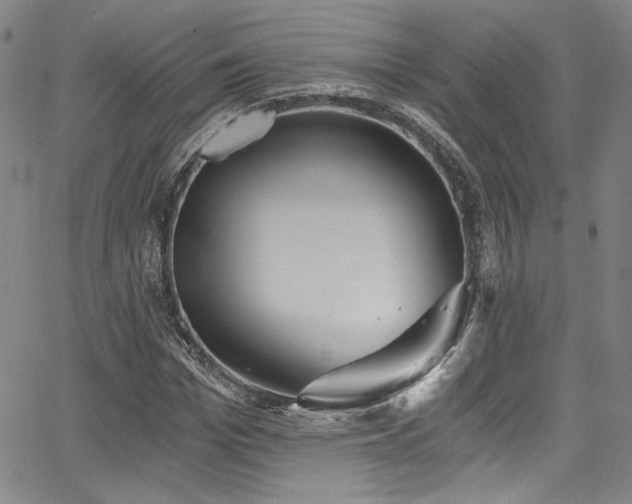 X0000068310969200604211200