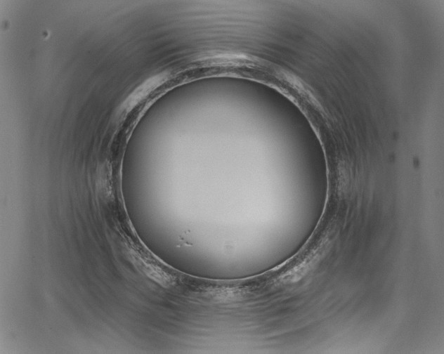 X0000068310970200604211200