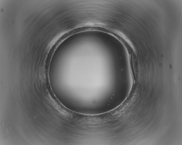 X0000068310972200604211159