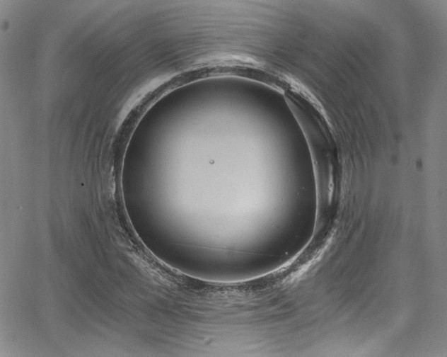 X0000068310973200604211159