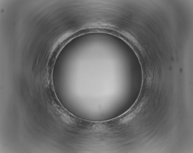 X0000068310974200604211159