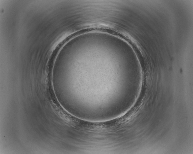 X0000068310975200604211159