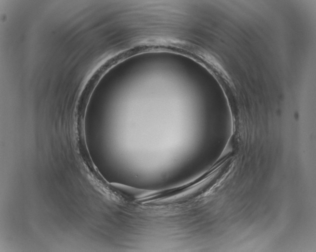 X0000068310976200604211159