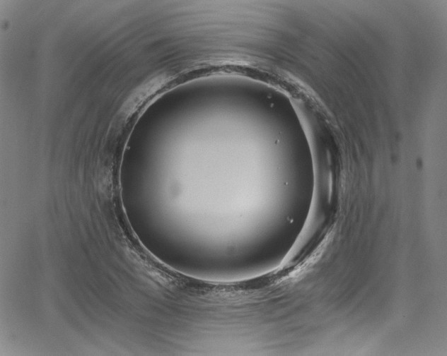 X0000068310977200604211159