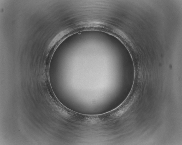 X0000068310978200604211159