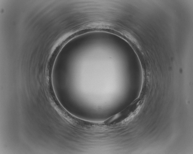 X0000068310981200604211159