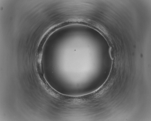 X0000068310984200604211159