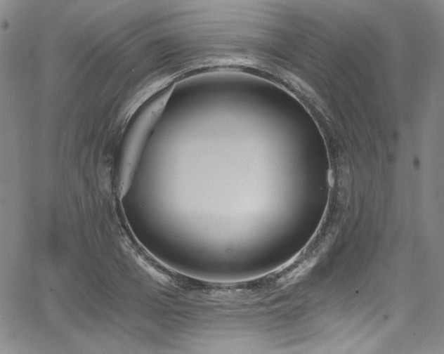 X0000068310985200604211159