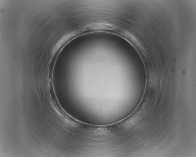 X0000068310986200604211159