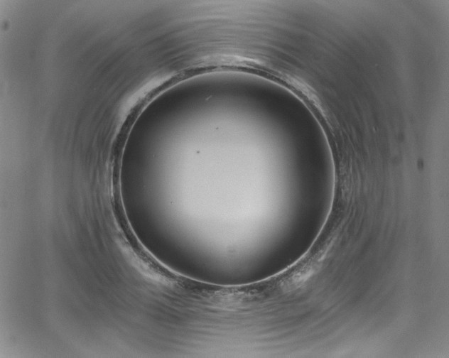 X0000068310987200604211159