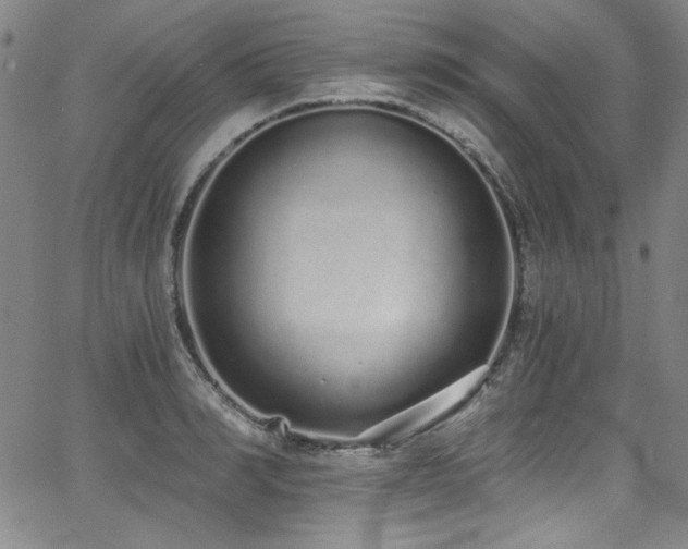 X0000068310990200604211159