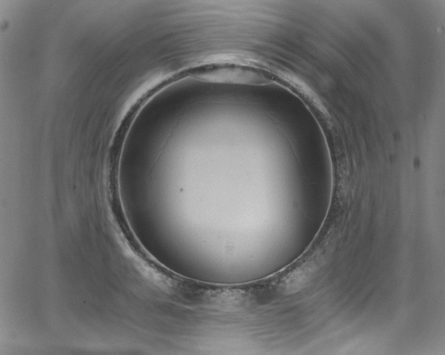 X0000068310991200604211159