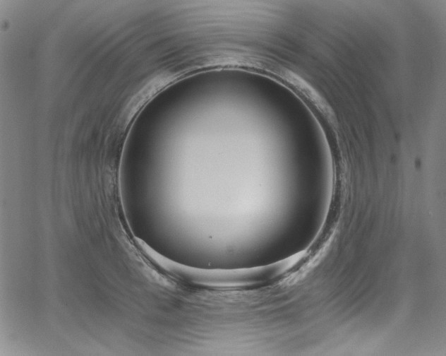 X0000068310993200604211159