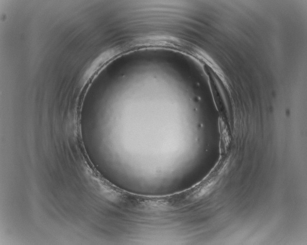 X0000068310994200604211159