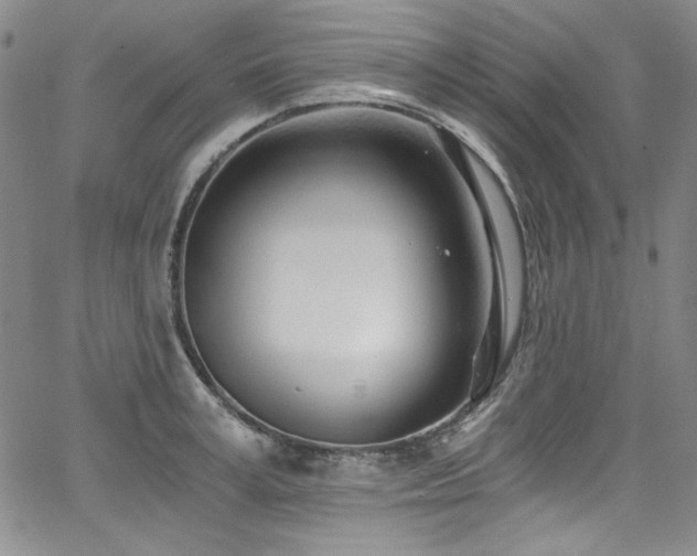 X0000068310995200604211159