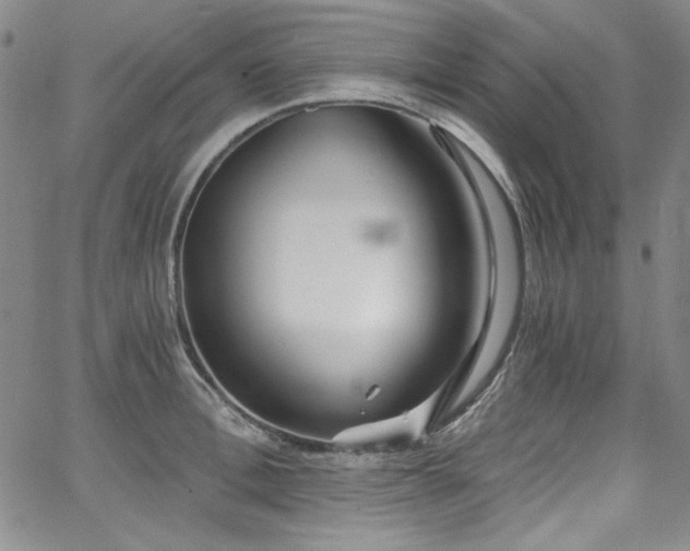 X0000068310996200604211159