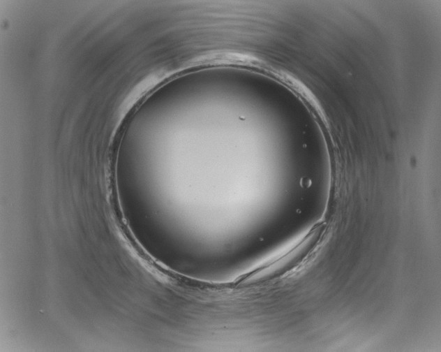 X0000068310997200604211159