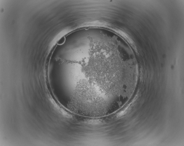 X0000068310998200604211159