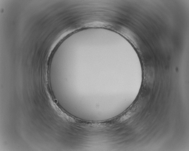 X0000068311000200604211159