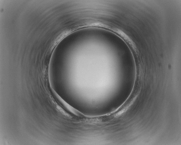 X0000068311001200604211159