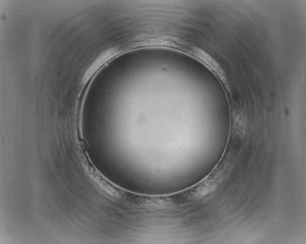 X0000068311002200604211159