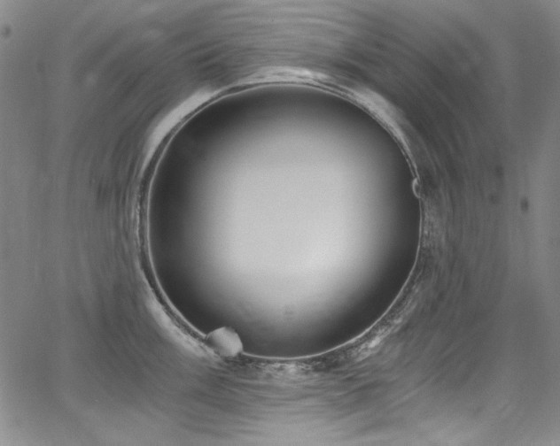 X0000068311003200604211159