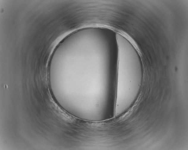 X0000068311004200604211159