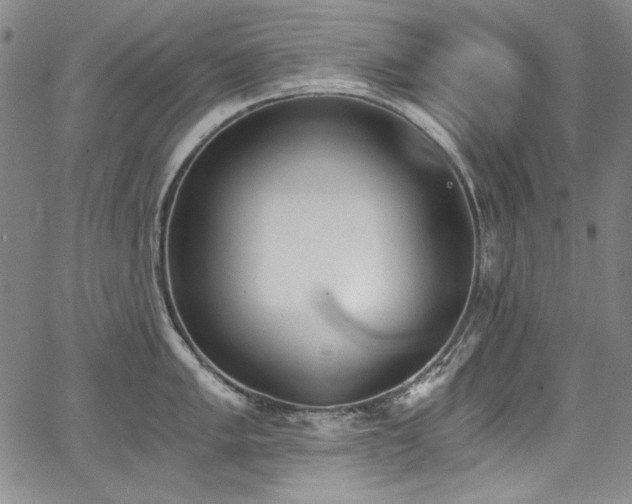 X0000068311005200604211159