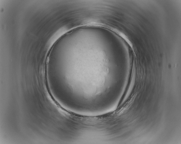 X0000068311007200604211159