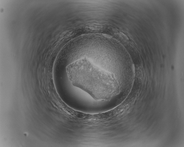 X0000068311009200604211158