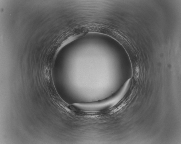 X0000068311010200604211158