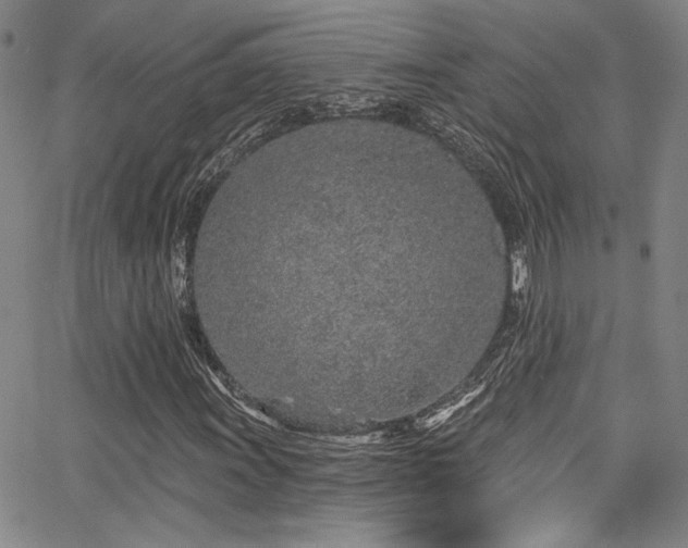 X0000068311011200604211158