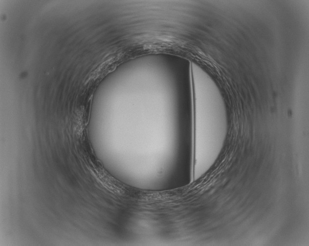 X0000068311012200604211158