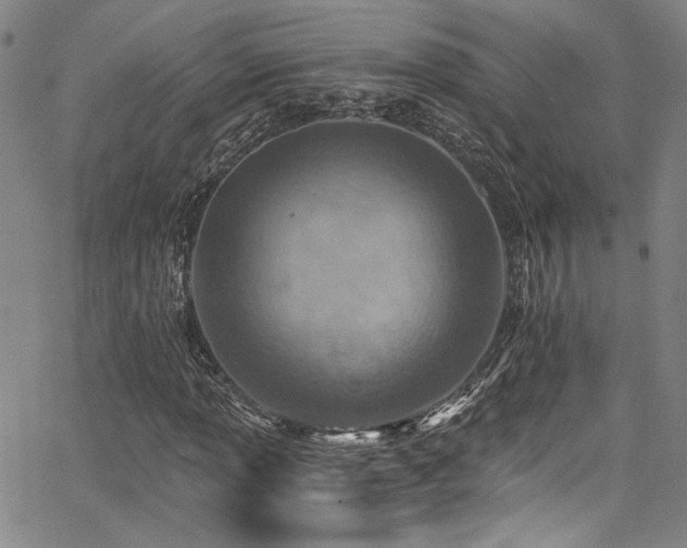 X0000068311013200604211158