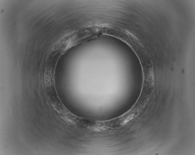 X0000068311014200604211158