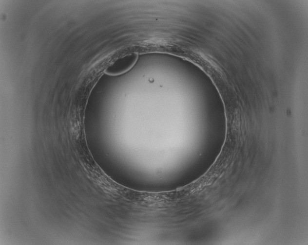 X0000068311015200604211158