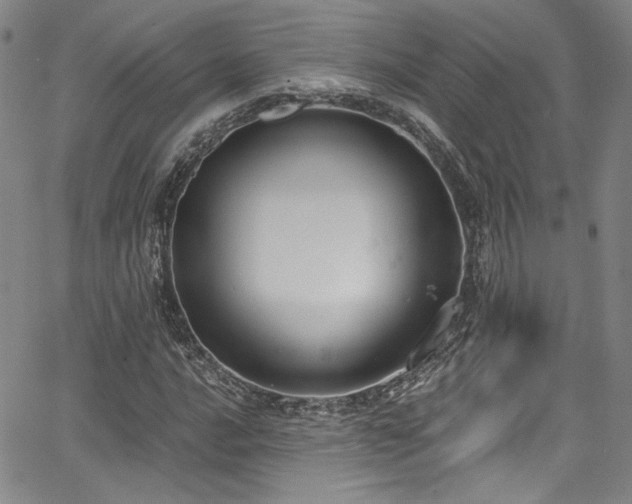 X0000068311016200604211158