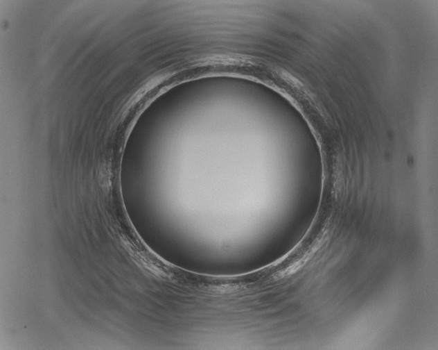 X0000068311017200604211158