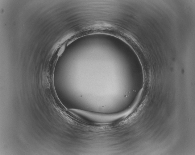 X0000068311018200604211158