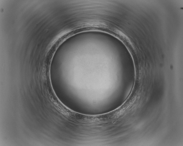 X0000068311019200604211158