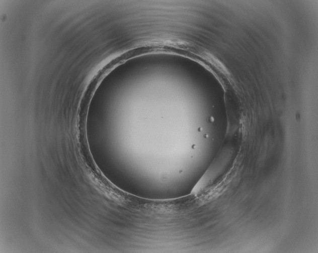 X0000068311020200604211158