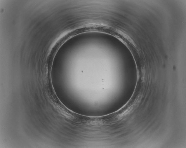 X0000068311021200604211158