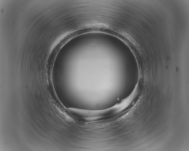 X0000068311022200604211158