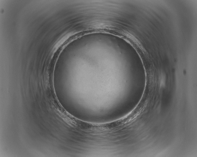 X0000068311023200604211158