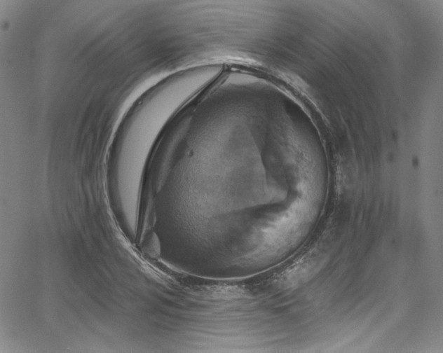 X0000068311024200604211158