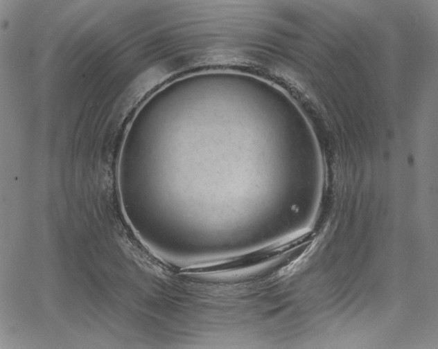 X0000068311025200604211158