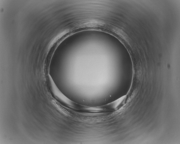 X0000068311026200604211158