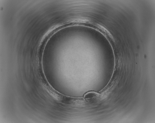 X0000068311027200604211158