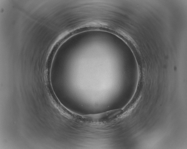 X0000068311029200604211158